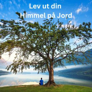 Divinima-Reset Modul 13 – Lev ut din Himmel på Jord