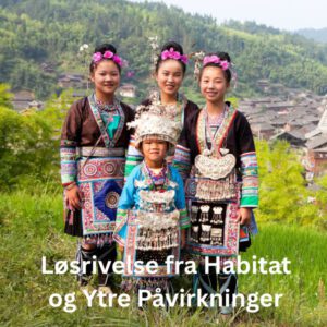 Divinima-Reset Modul 3 – Løsrivelse fra Habitat og Ytre Påvirkninger